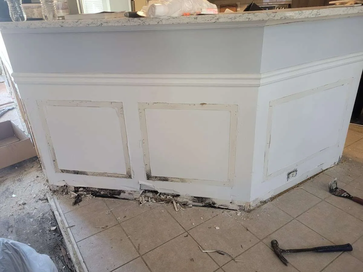 Water damage and mold on kitchen during Mold Inspection & Testing in Tenafly